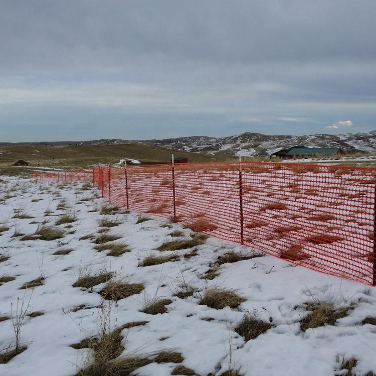 Safety Fence